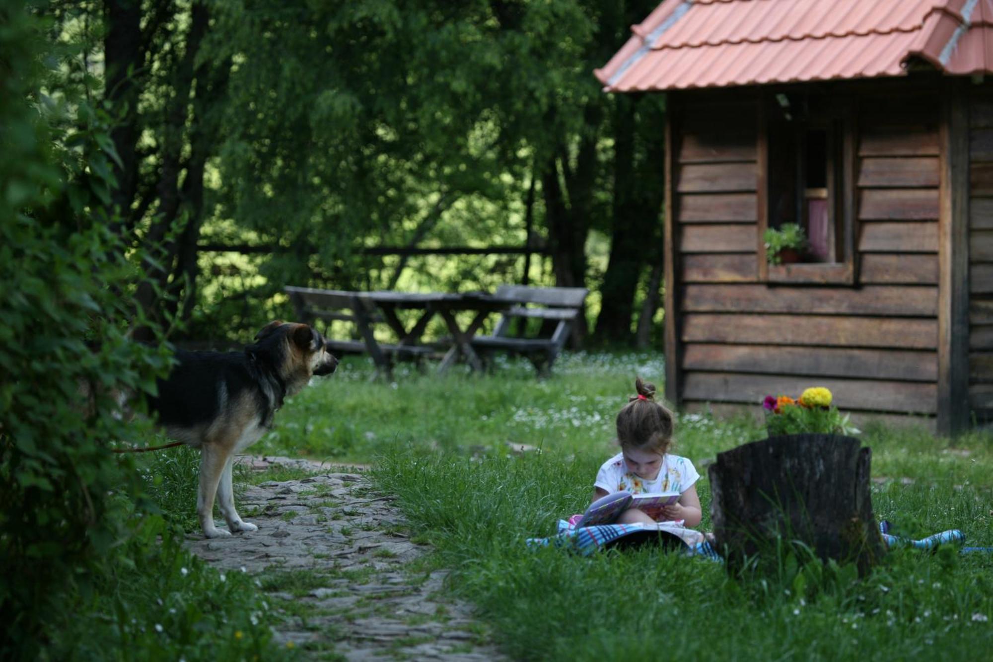 Grab Ethno Village And Camp Ferienpark