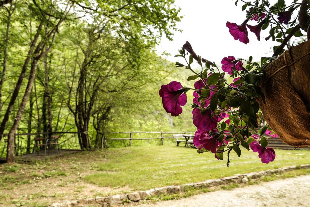 Grab Ethno Village And Camp Ferienpark Scepan-Polje