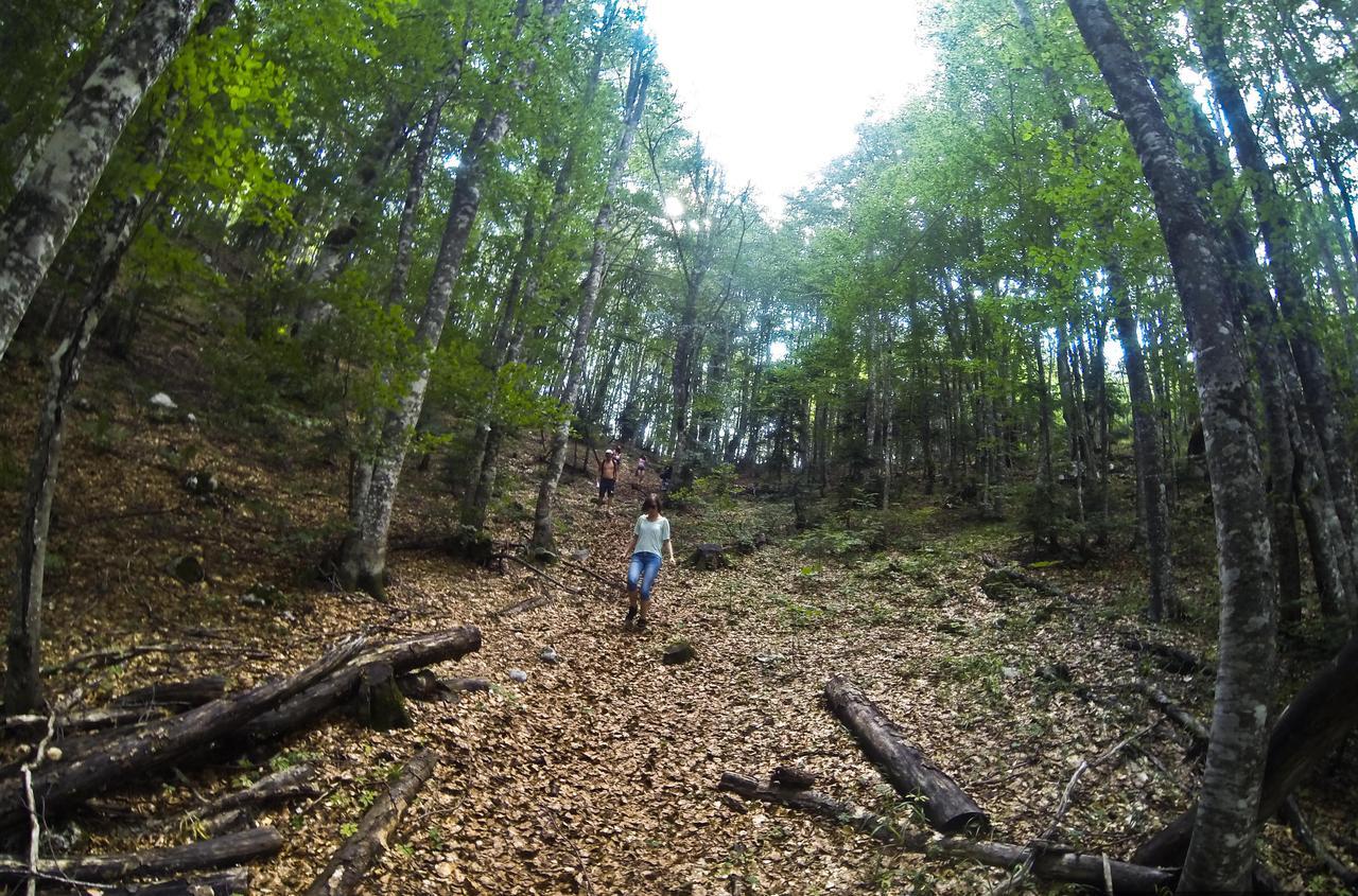 Grab Ethno Village And Camp Scepan-Polje